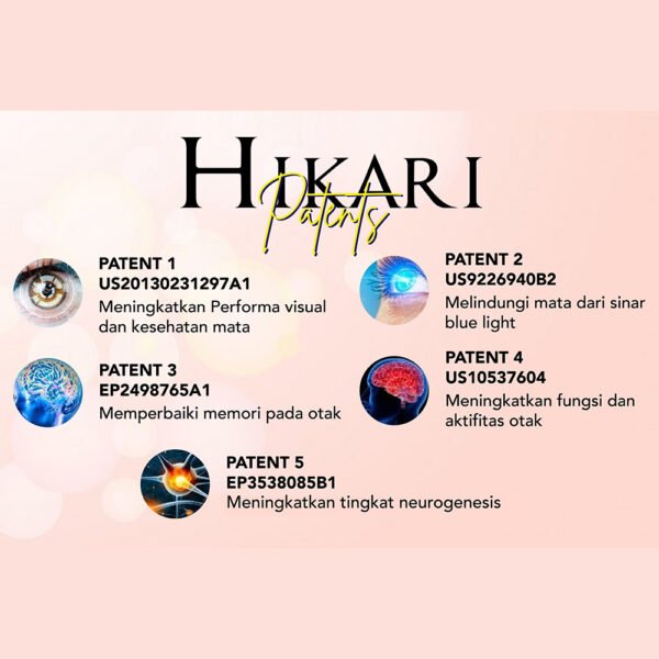 HIKARI - Image 2